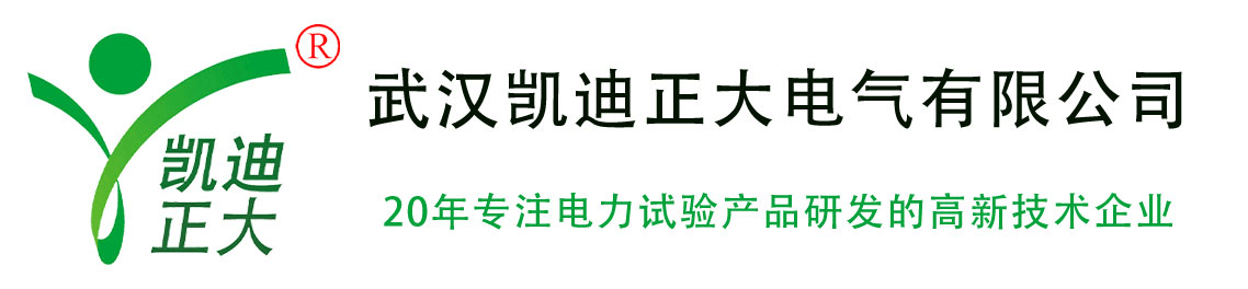 武漢凱迪（dí）正大（dà）